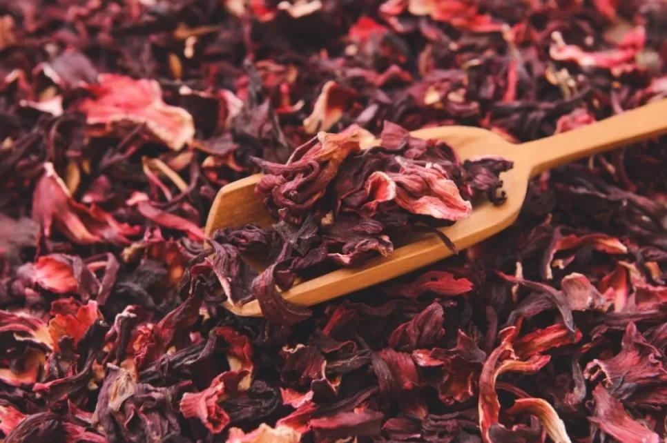 Hibiscus sabdariffa Ekstratının Cilt Sağlığına Etkisi: Doğadan Gelen Güzellik Destekçis