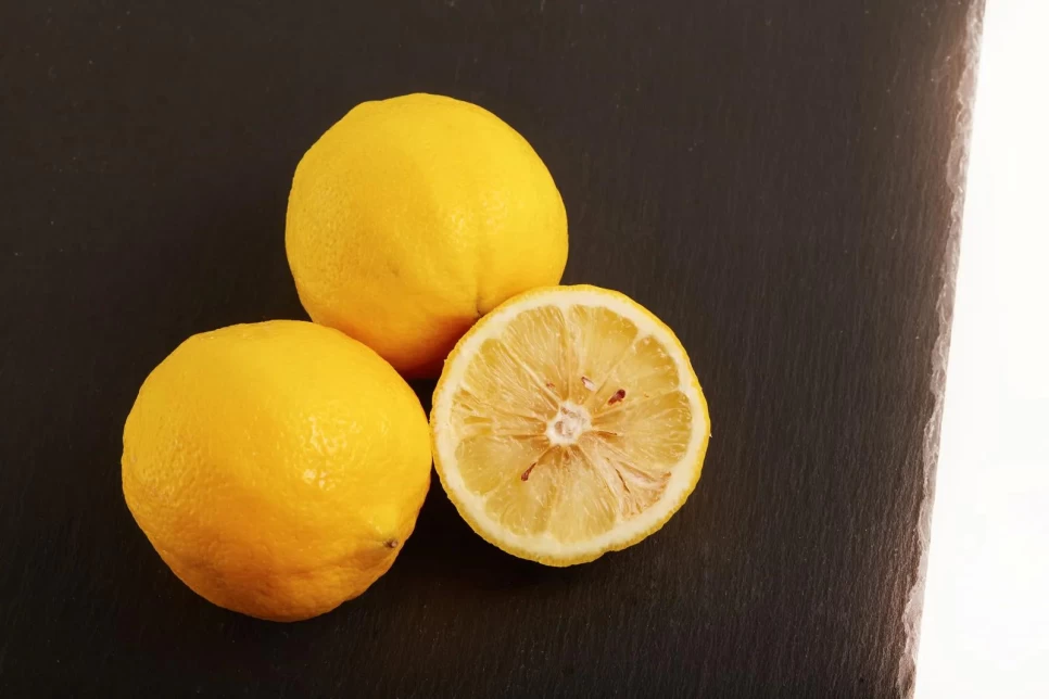 Botanical Properties and Benefits of Common Bergamot