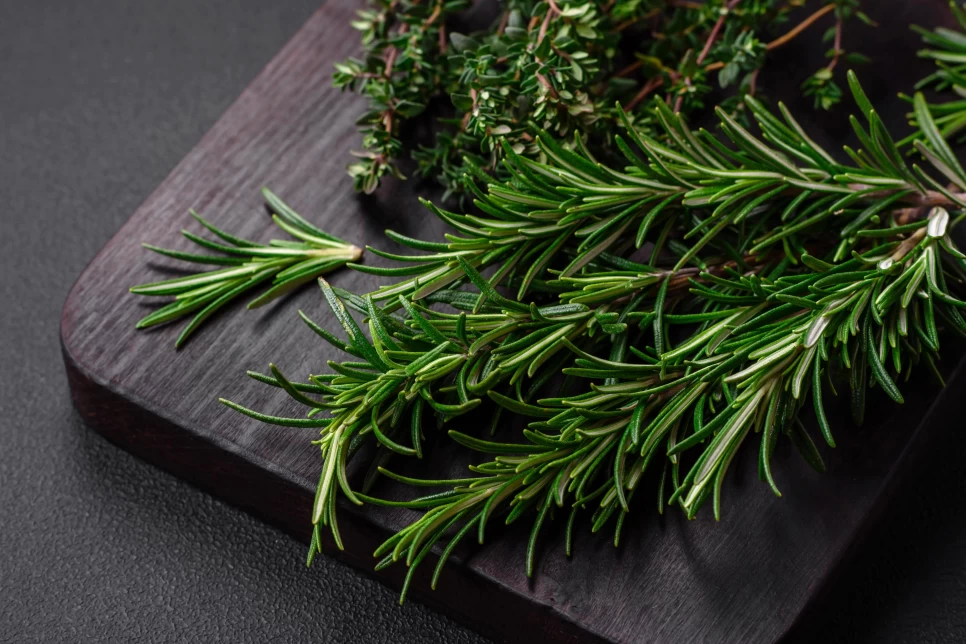 Rosemary : The Power of Nature in the Cosmetics Industry
