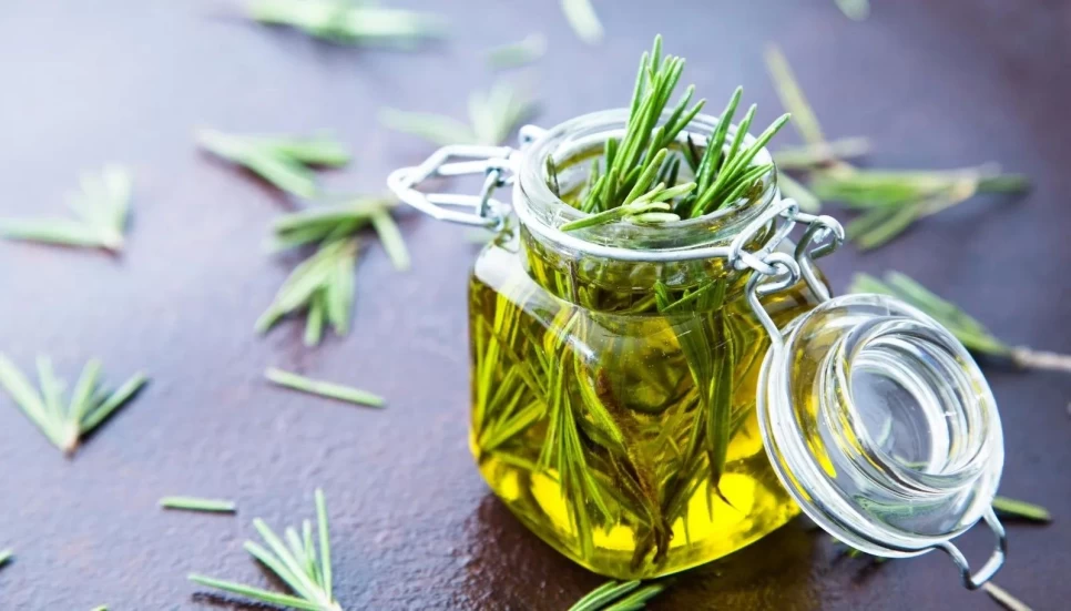 Rosemary Oil Storage Tips: Preserve Potency Longer