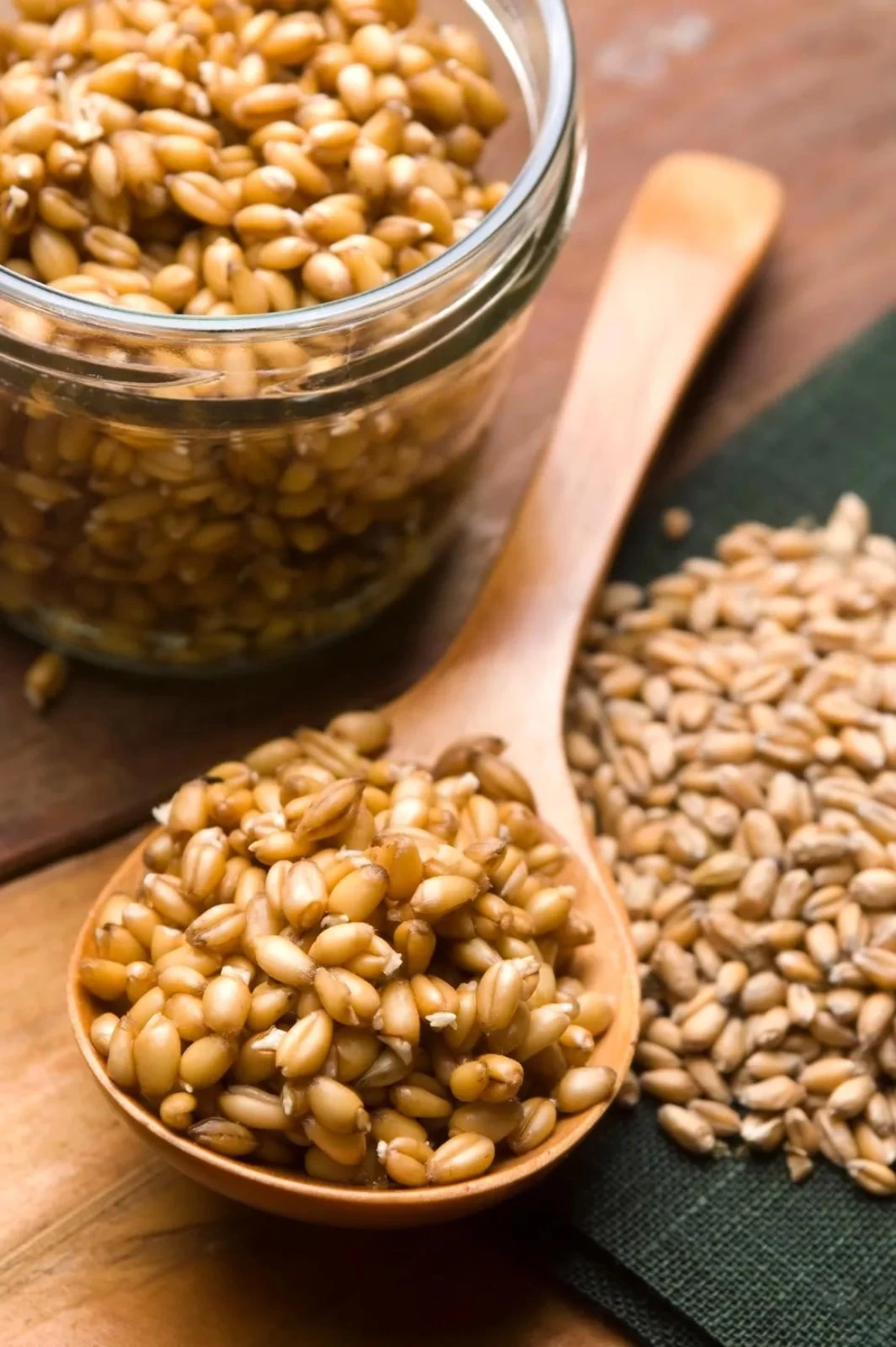 Botanical Properties and Benefits of Wheat Germ