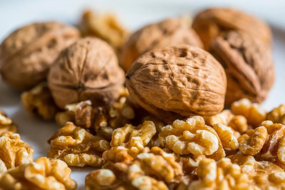 Botanical Properties and Benefits of Walnut