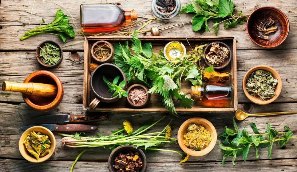 From Nature to Your Kitchen: Discovering Healthy and Delicious Herbal Raw Materials