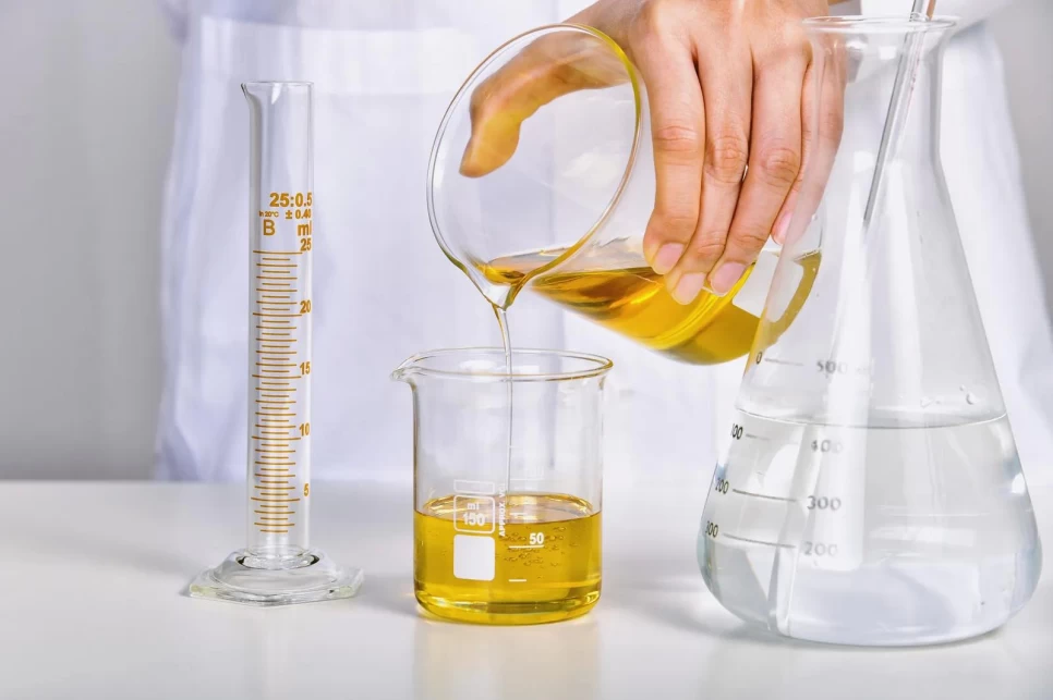What is the Food Extract?