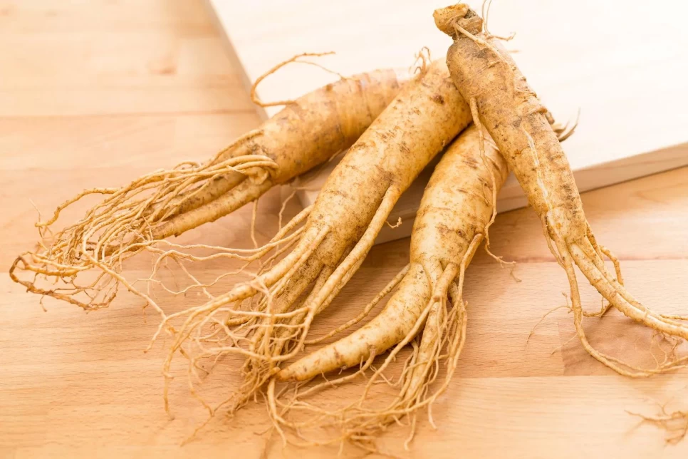 Botanical Properties and Benefits of Ginseng