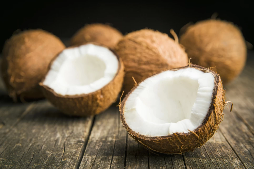 Botanical Features and Benefits of Coconut