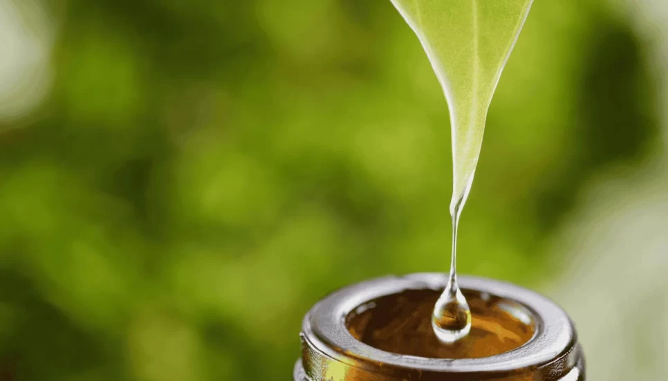 The Moisturizing Power of Coconut Oil in the Cosmetic World The Rising Star of Natural Ingredients: