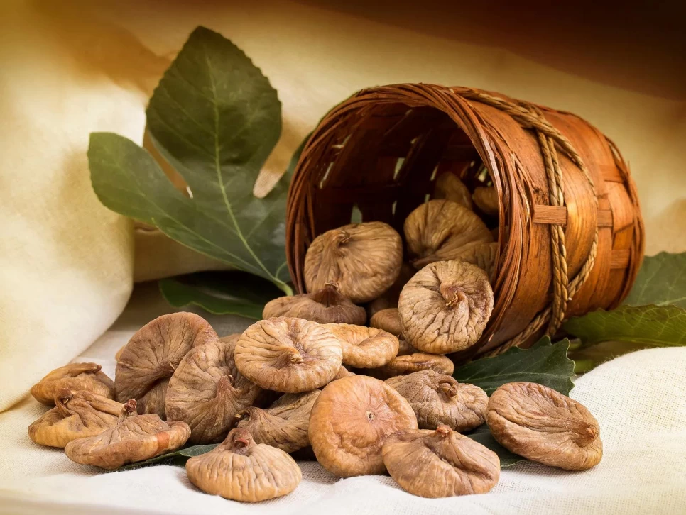 Botanical Properties and Benefits of Fig