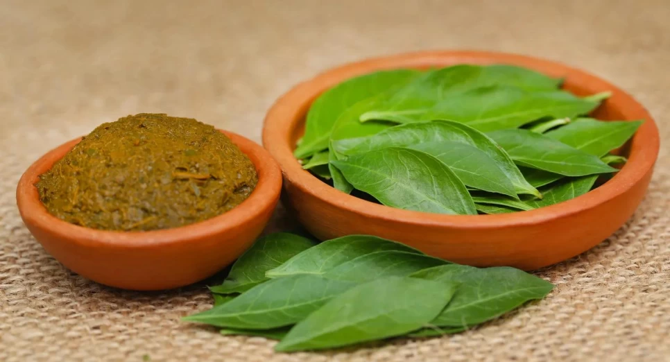 Botanical Properties and Benefits of Henna Plant