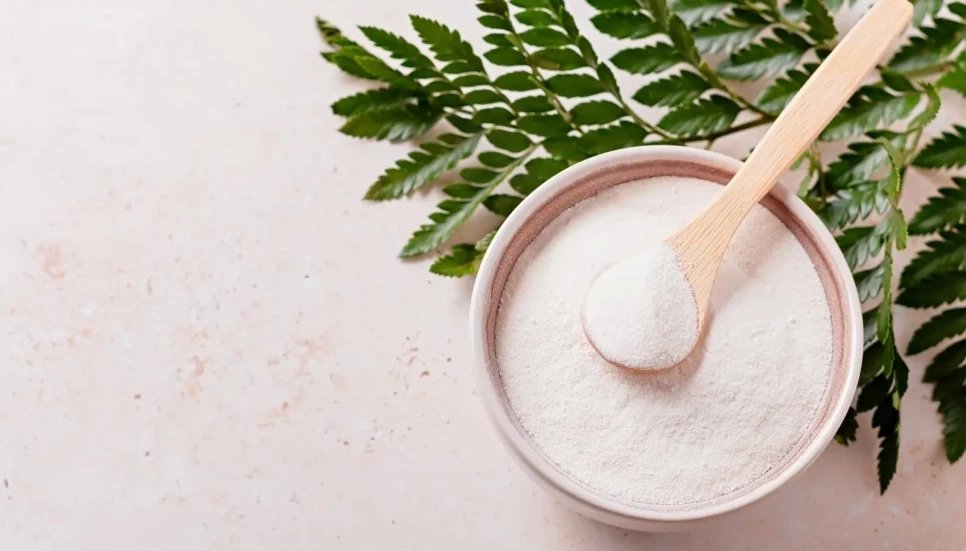 Collagen Powder Benefits and Proper Usage