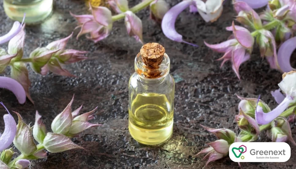 Kozmetikte Tıbbi Ada Çayı Ekstresi Etkileri Nelerdir?