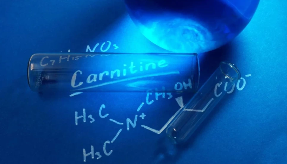 How L-Carnitine Supports Energy and Skin Vitality