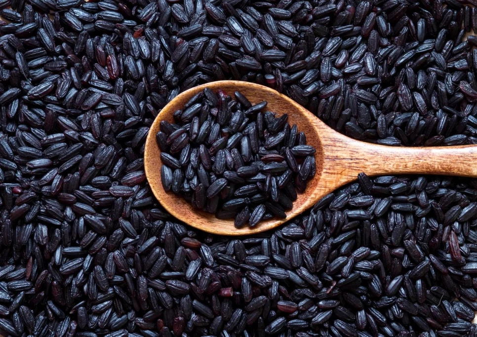 Botanical Properties and Benefits of Black Rice