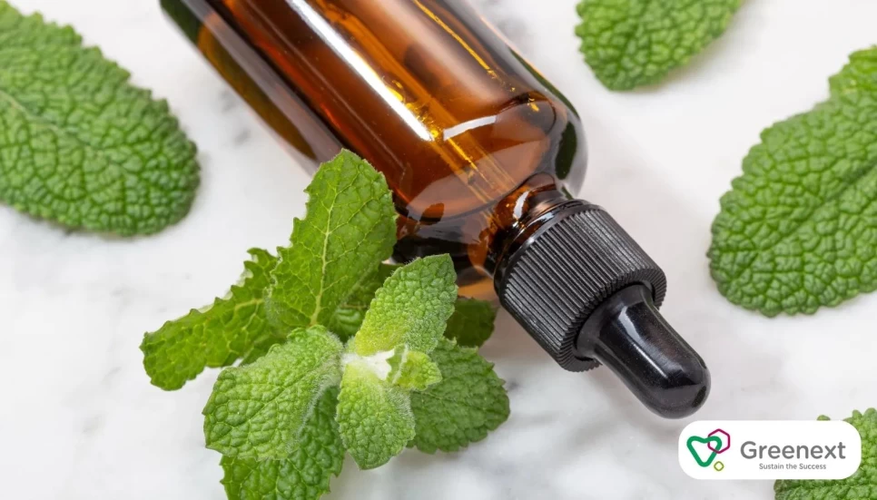 Revitalizing Peppermint Oil In Spa Therapies