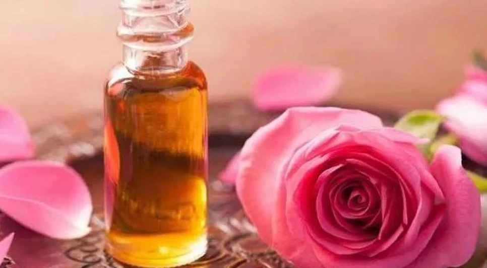 Rose Agriculture in Turkey