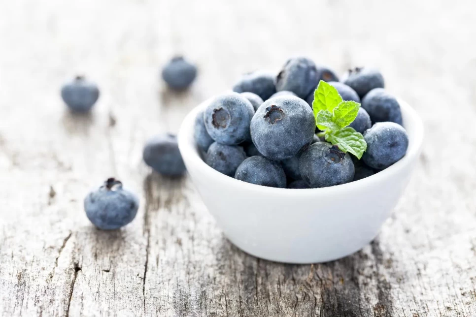 Botanical Properties and Benefits of Blueberry