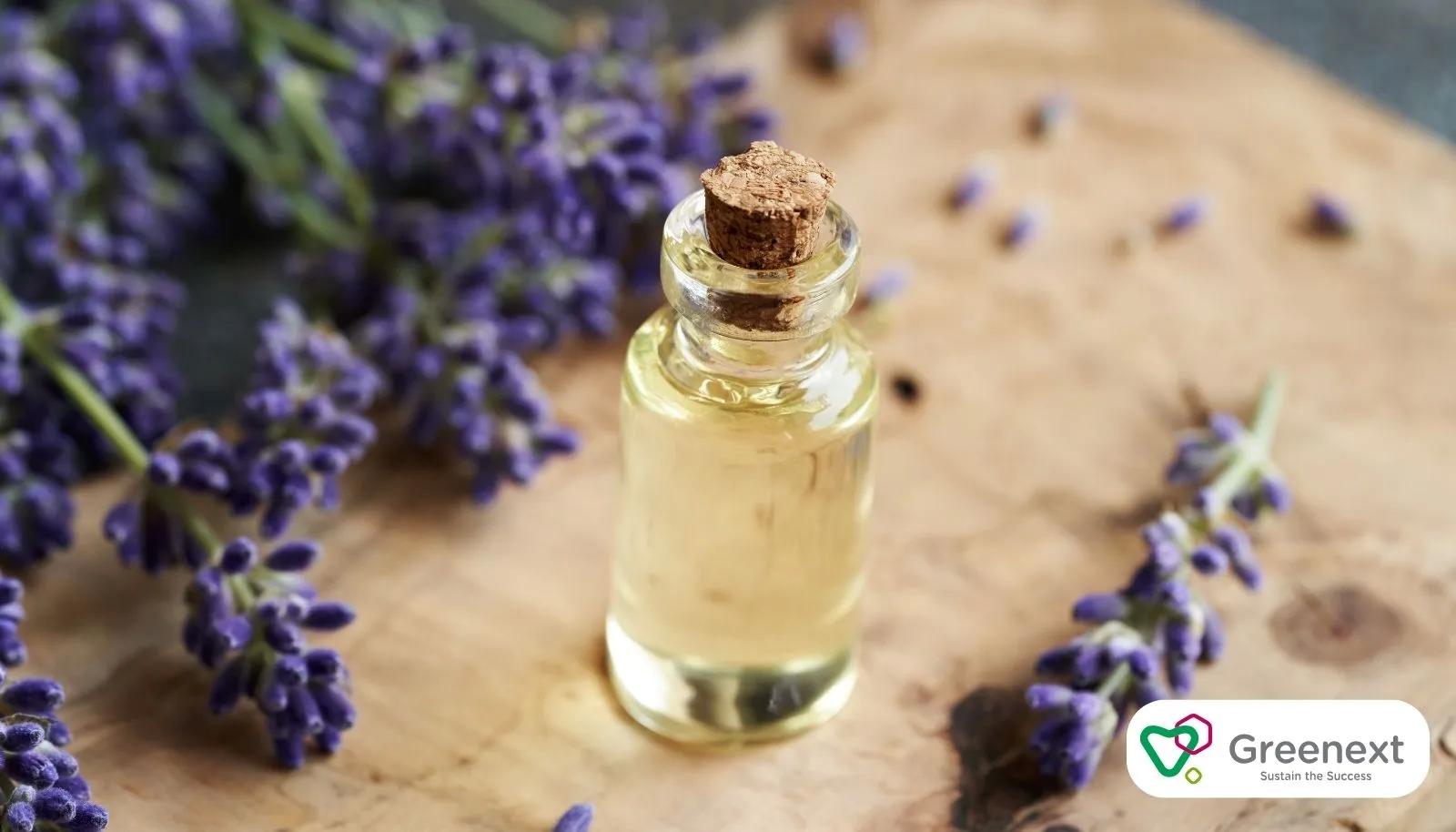 Doğal Yüz Maskelerinde Lavanta Yağının Faydaları