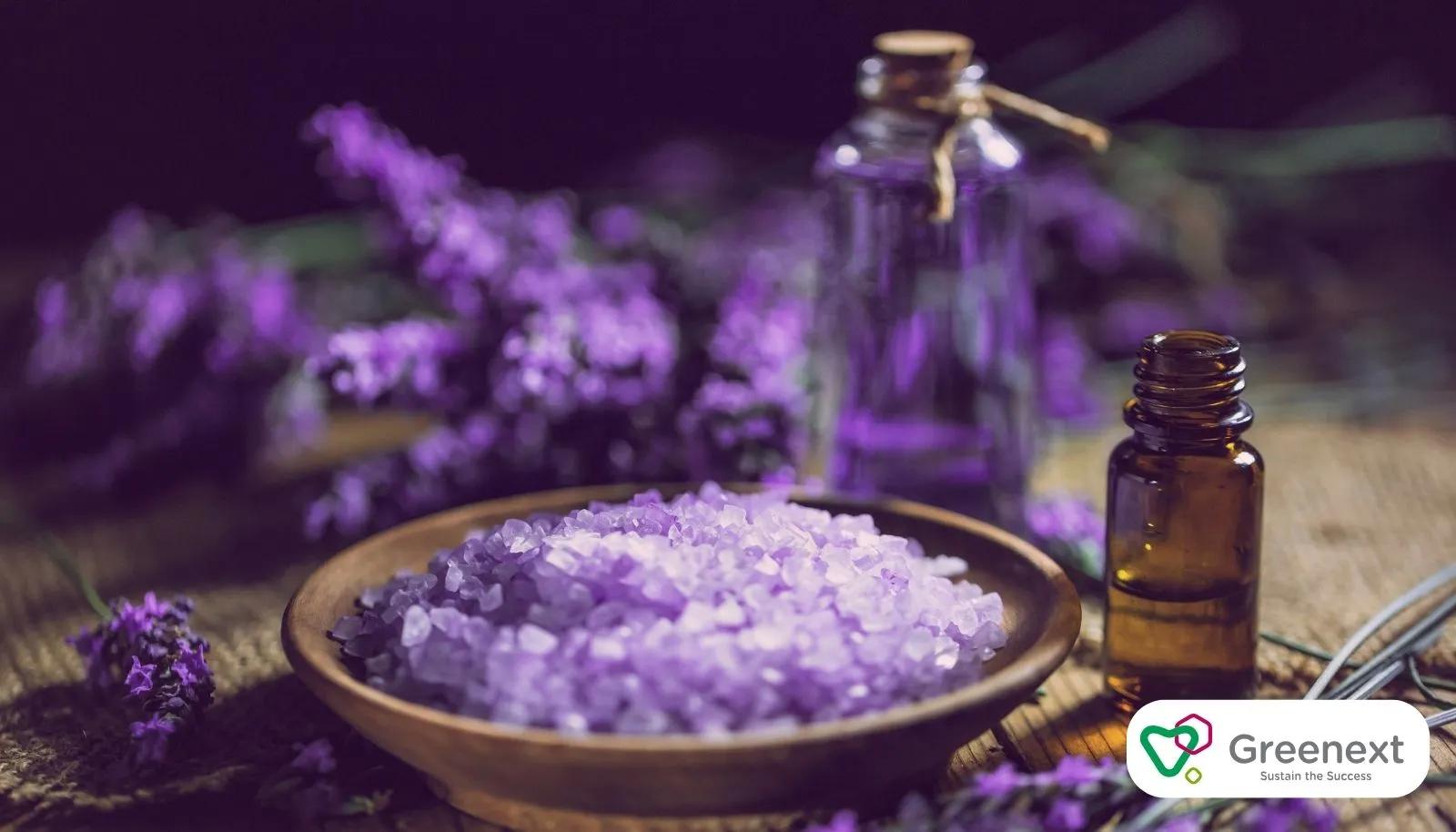 Lavanta Yağı ile Rahatlatıcı Aromaterapi Ürünleri