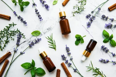 Bitkisel Yağların Tıbbi ve Aromatik kullanımları
