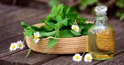 Cosmos Sertifikalı Organik Greenext Moisturising Kompleks
