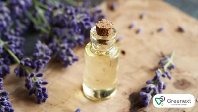 Doğal Yüz Maskelerinde Lavanta Yağının Faydaları