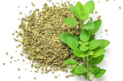 Thyme Extract