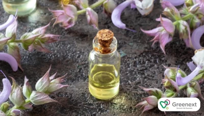 Kozmetikte Tıbbi Ada Çayı Ekstresi Etkileri Nelerdir?