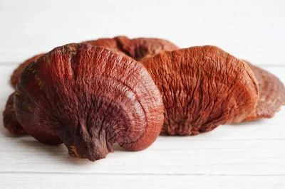 Reishi Mantarının Botanik Özellikleri ve Faydaları