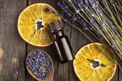 Tıbbi Ve Aromatik Bitkilerin Kullanımı ve Sınıflandırılması