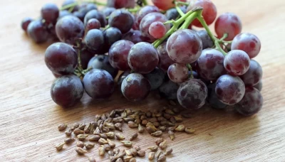 Üzüm Çekirdeği Ekstraktı (Vitis vinifera L.): Endüstriyel Kullanımlar ve Bilimsel Perspektif