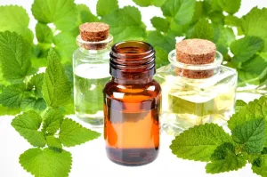 Göz Çevresi ve Hassas Bölgelerde Bitkisel Rahatlatıcı: Melisa Ekstraktı