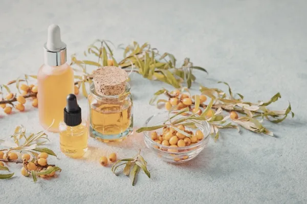 Bitkisel Ekstraktlarla Fonksiyonel Gıda Formülasyonlarında Kullanımı: Sağlık ve Lezzeti Birleştirmek