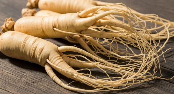 Ginseng Extract: The Value of a Traditional Plant in Modern Formulations