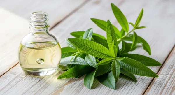 Limon Otu Yağı: Limon Olmadan Gelen O Tanıdık Koku