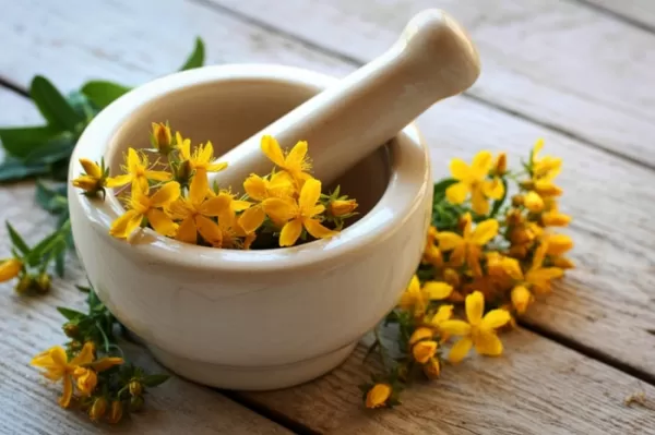 Plantain Extract | Sensitive Skin Care Applications