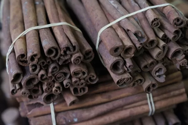 Cinnamon Bark Extract (Cinnamomum cassia Bark Extract) and Its Botanical Active Potential in Cosmetic Formulations