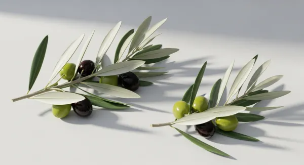 Olive Leaf Extract: Is the Real Treasure in the Leaf?