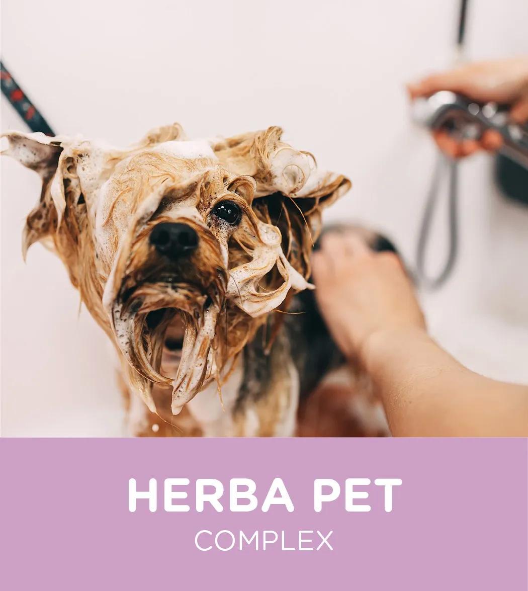 HERBA PET KOMPLEKS