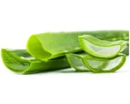 ALOE VERA EKSTRAKTI