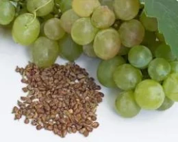 ÜZÜM ÇEKİRDEĞİ EKSTRAKTI