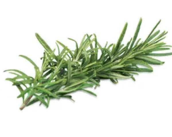 BİBERİYE YAPRAĞI HİDROSOLÜ