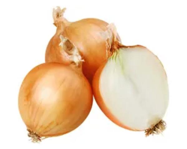 SOĞAN EKSTRAKTI
